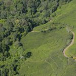 Securing tenure rights for forest-dependent communities: A global comparative study
