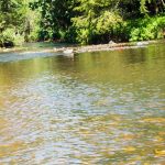 Virtual conference: Water Commons